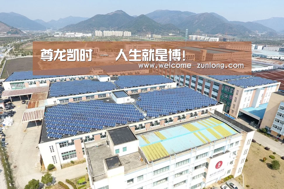 案例展示二
