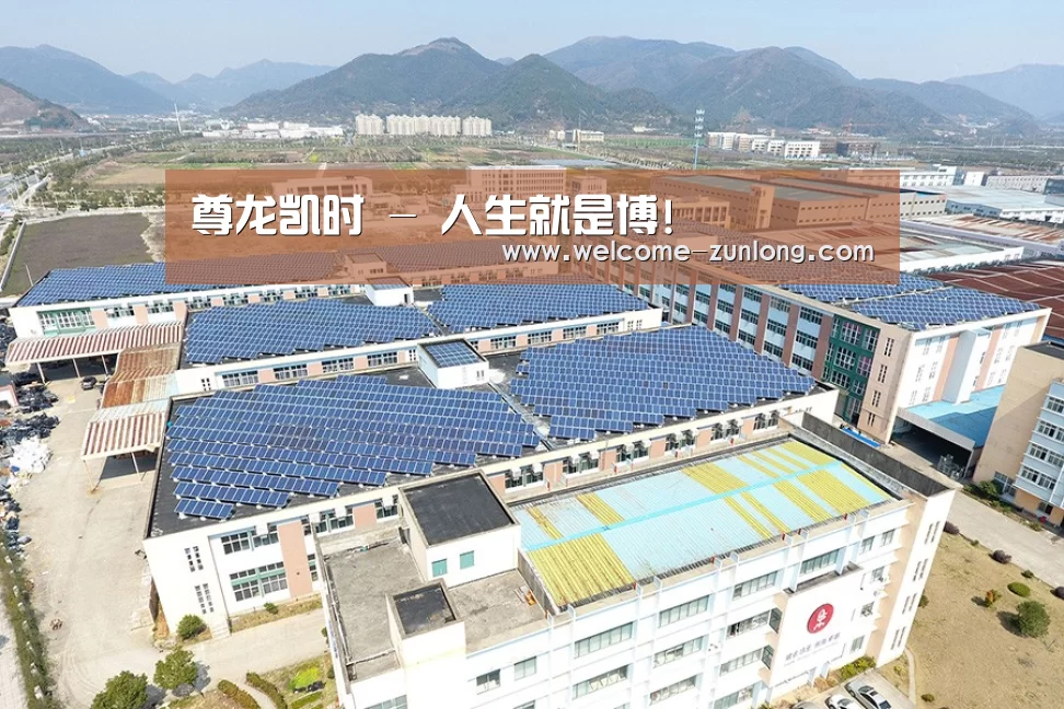 案例展示四