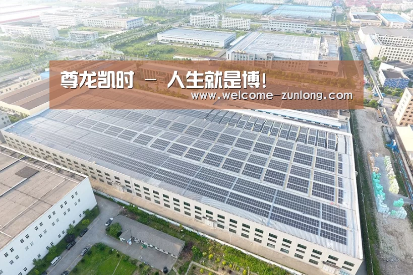 案例展示二