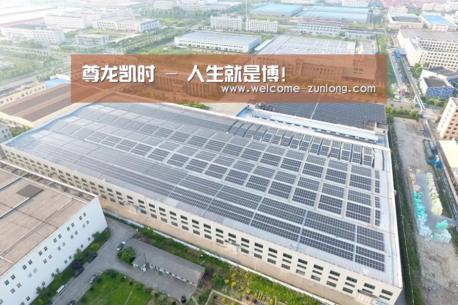 案例展示三
