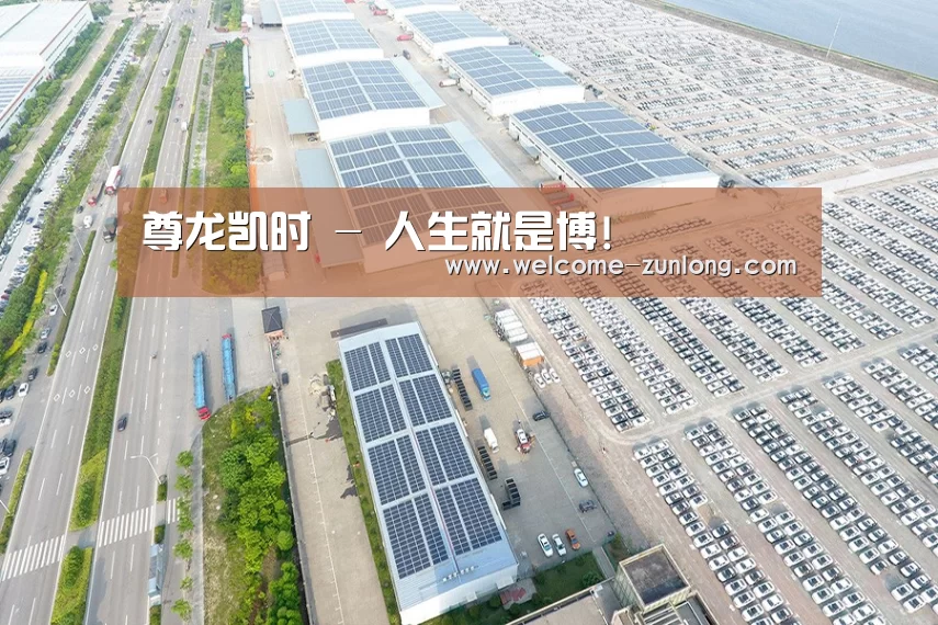 案例展示二