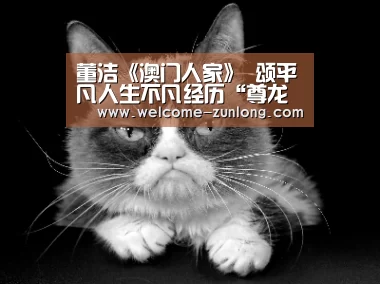 董洁《澳门人家》  颂平凡人生不凡经历“
