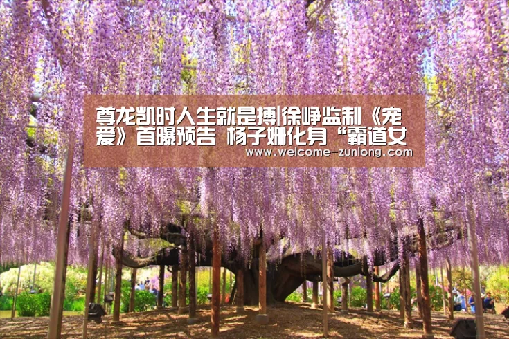 尊龙凯时